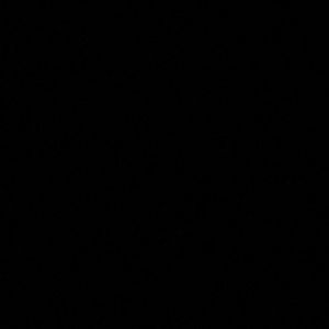 Meet your Posher, Timothy